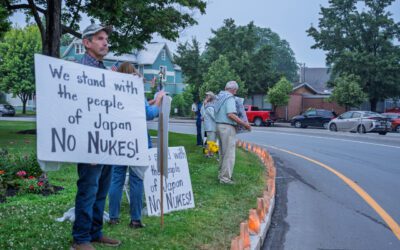 2025 – Year in Review