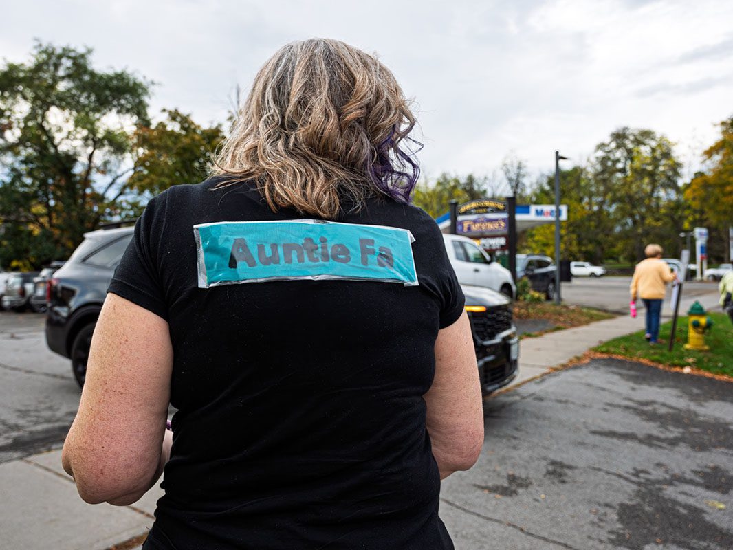 Rally participants at the October No Kings rally in Livingston County.